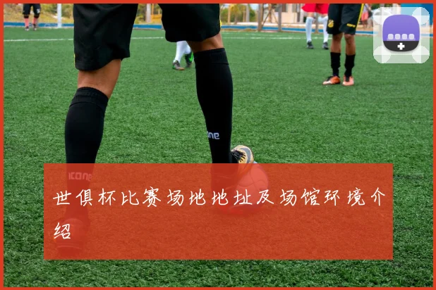 世俱杯比赛场地地址及场馆环境介绍