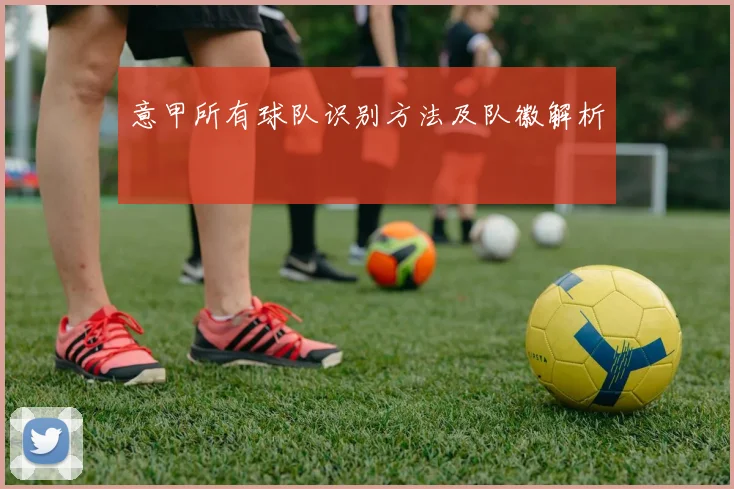 意甲所有球队识别方法及队徽解析