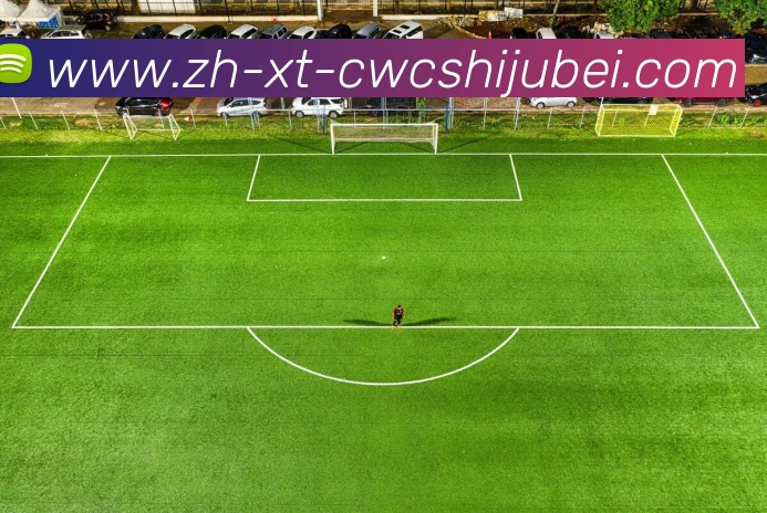 多媒体互动体验